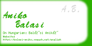 aniko balasi business card